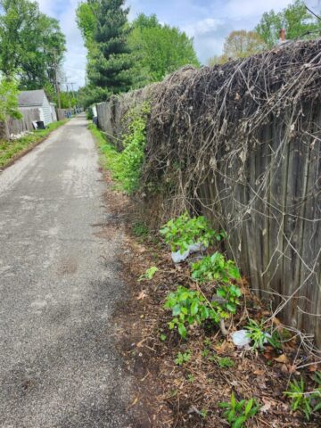 ICON's Worst Alley Makeover contest cleaned up two alleys in Springfield Illinois on Friday, April 24 as part of the United Way Day of Caring.